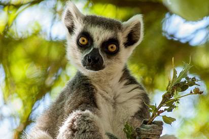 Dierenpark Amersfoort